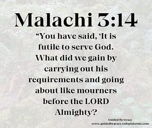 Malachi 314