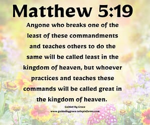 Matthew 519