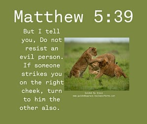 Matthew 539