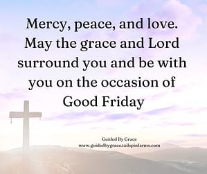 Mercy, peace, and love. May the grace and Lord surround you and be with you on the occasion of Good Friday