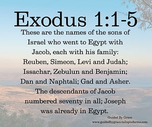 Exodus 11