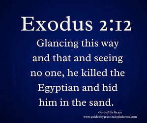Exodus 212