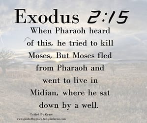 Exodus 215