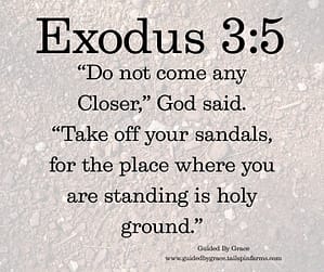 Exodus 35