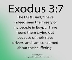 Exodus 37