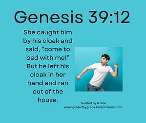 Genesis 3912