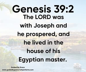 Genesis 392