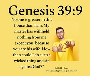 Genesis 399