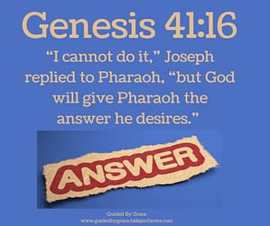 Genesis 4116