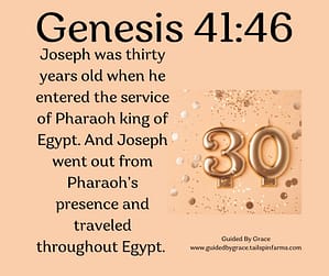 Genesis 4146