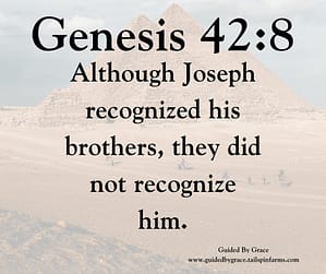 Genesis 428