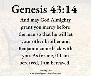 Genesis 4314