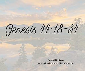 Genesis 4418-34