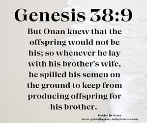 Genesis389
