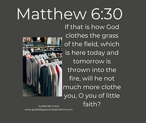 Matthew 630