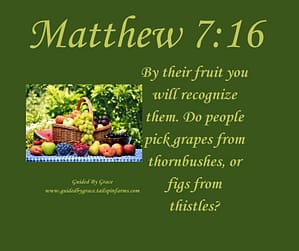 Matthew 716