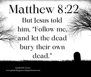 Matthew 822