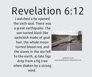 Revelation 612