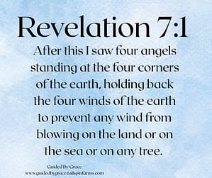 Revelation 71