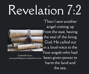 Revelation 72