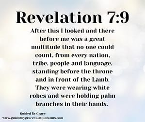 Revelation 79