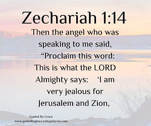 Zechariah 114