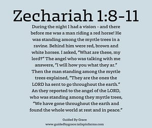 Zechariah 18-11