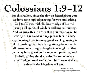 Colossians 19-12
