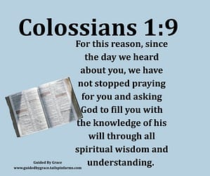 Colossians 19