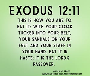 Exodus 1211
