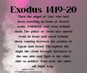 Exodus 1419-20