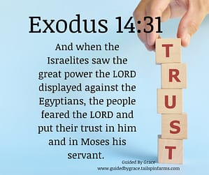 Exodus 1431