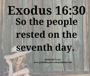 Exodus 1630