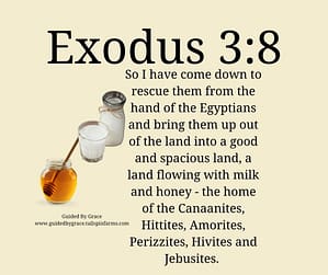 Exodus 38