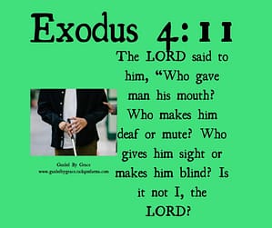 Exodus 411