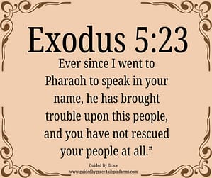 Exodus 523