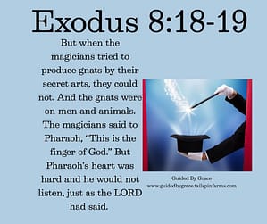 Exodus 818-19