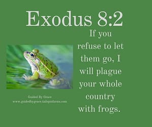 Exodus 82