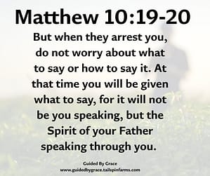 Matthew 1019