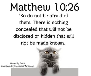 Matthew 1026