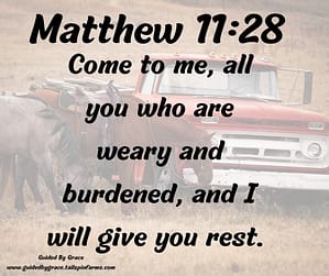Matthew 1128