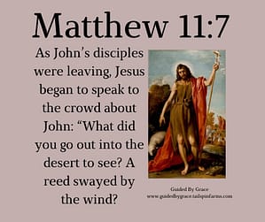 Matthew 117
