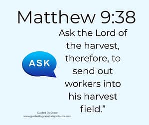 Matthew 938