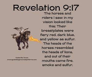 Revelation 917