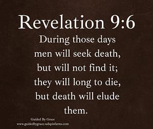 Revelation 96