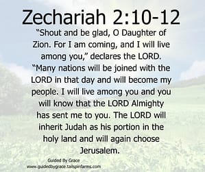 Zechariah 210-12