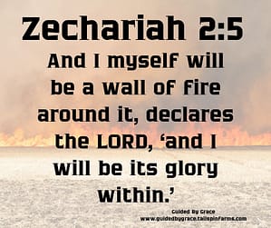 Zechariah 25