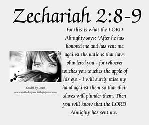 Zechariah 28