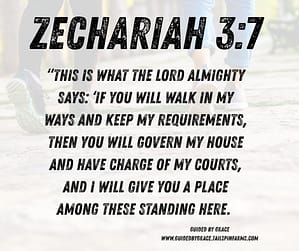 Zechariah 37