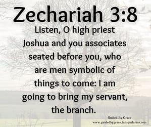 Zechariah 38
